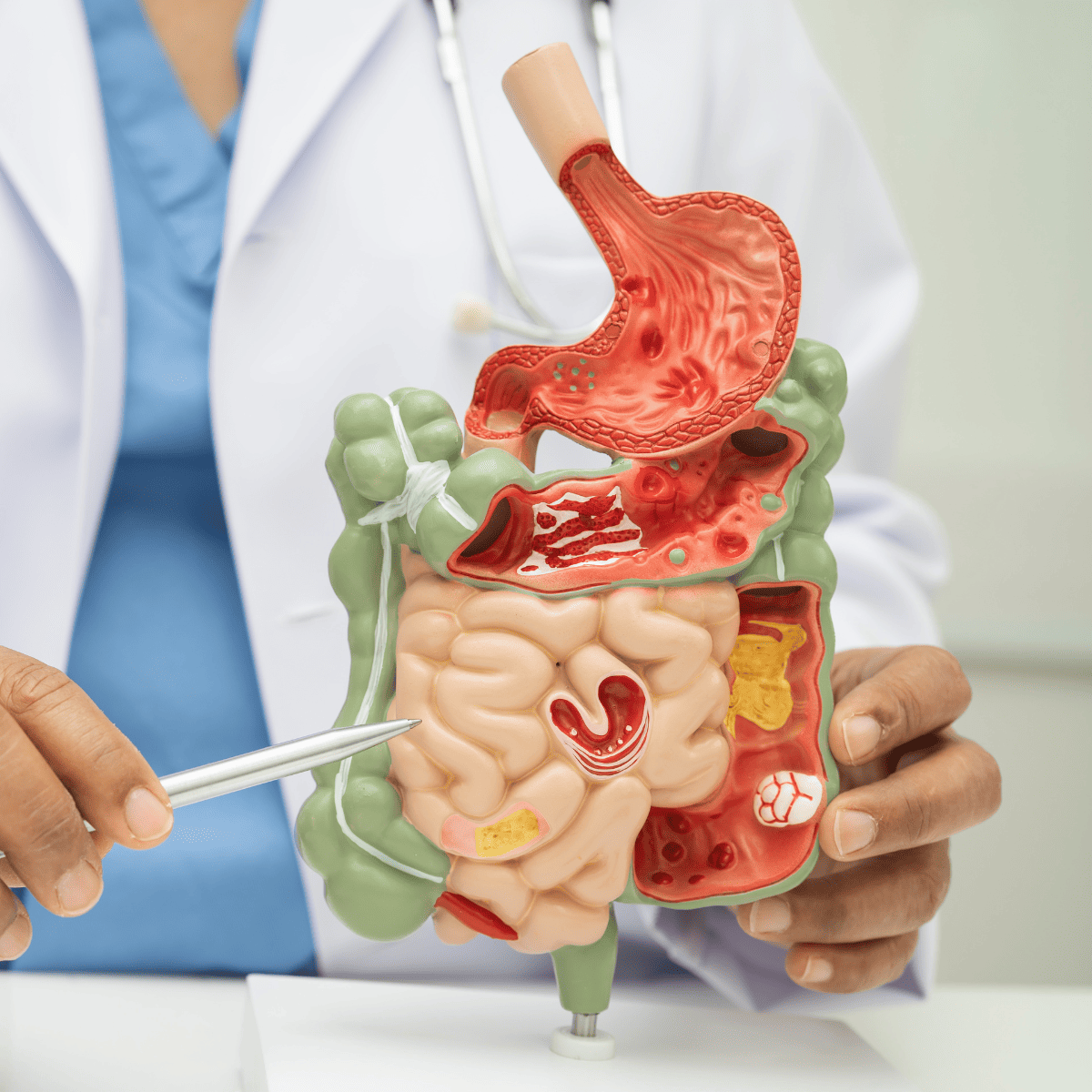 digestive-issues-spokeme